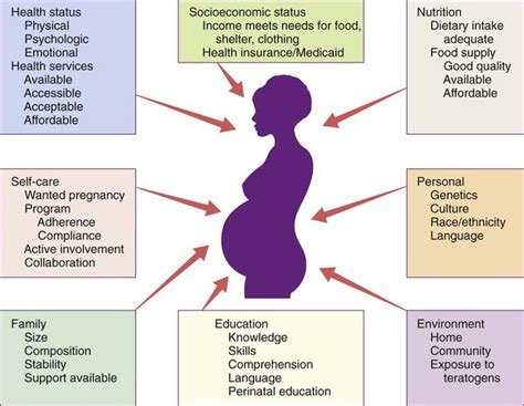 are men responsible for the quality of a womans pregnancy